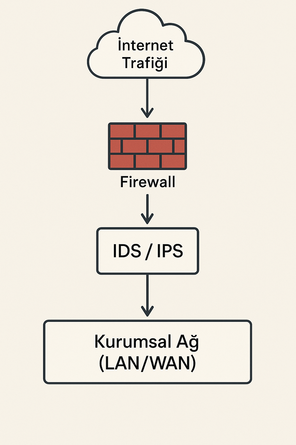 IDS ve IPS Nedir?