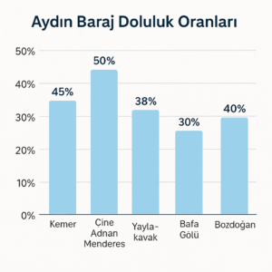 Aydın Baraj Doluluk Oranları