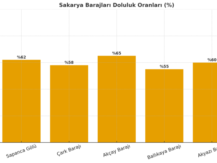 Sakarya Baraj Doluluk Oranları