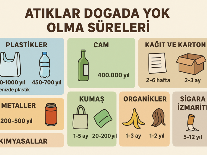 Doğada Atıkların Yok Olma Süreleri: Plastik, Cam, Kağıt ve Daha Fazlası Ne Zaman Kaybolur?